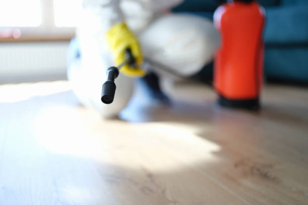 Best Dehumidification Services  in Superior, AZ
