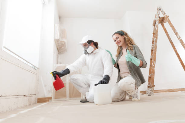 Best Real Estate Mold Inspection  in Superior, AZ